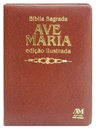 Bíblia Ilustrada Luxo Marrom Média: Edição Especial com Pinturas Clássicas - imagem 3