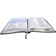 Bíblia de Estudo do Discipulado NAA | SBB | Couro Sintético Nobre Preta - imagem 3