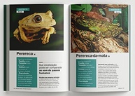 Biblioteca Animais do Mundo: Box com 3 Livros Essenciais - imagem 5