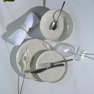 Conjunto com 6 Pratos Raso Bio Stoneware Clay 27,5cm - Seguro para Forno, Microondas e Lava-Louças - imagem 3