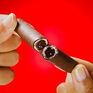 BOLD Tube Avelã: 10g Proteína (12 Un.) - imagem 2