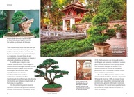 Almanaque Visual Natureza: O Guia Completo da Arte Bonsai - imagem 5