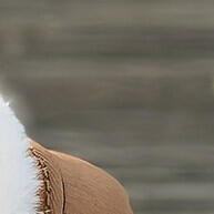 Botas de Neve: Conforto e Calor no Inverno! - imagem 1