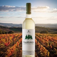 Pauliteiros Vinho Português Branco 750Ml - imagem 5