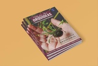 Mestre das Orquídeas Vol. 17: Guia Completo de Micro-Orquídeas Brasileiras - imagem 3