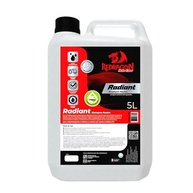 Shampoo Neutro Redragon Radiant Pro 5L: Brilho e Proteção para Seu Carro - imagem 2