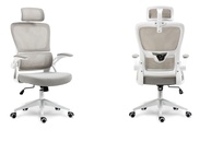 Cadeira de Escritório Presidente Ergonômica com Apoio Lombar Ajustável e Design Moderno - imagem 1