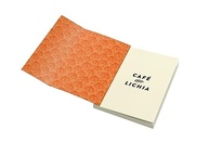Café com Lichia: Um Romance Doce e Cheio de Desafios - imagem 5