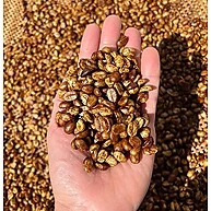 Café Black Tucano Honey 250g: Doçura e Aroma Únicos - imagem 4