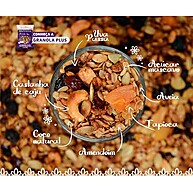 Granola Senhora Plus 1kg: Caju & Coco Crocante - imagem 4