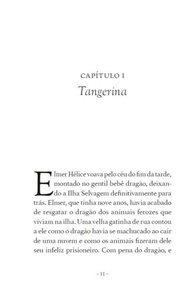 Elmer e o Dragão: Uma Aventura Inesquecível na Ilha dos Canários Fugitivos - imagem 5