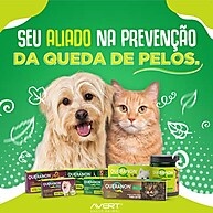 Avert Queranon: Pelagem Radiante para Seu Cão! - imagem 2