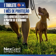 NexGard Spectra: Proteja Seu Cão! - imagem 2