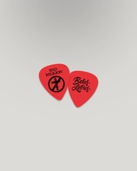 Paradoxo Punk: Memórias de Greg Graffin (Bad Religion) - Edição Capa Dura com Brindes Exclusivos - imagem 4