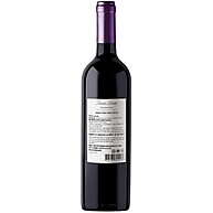 Carmenere Chileno Santa Loreto 750ml: Sabor Premium - imagem 4