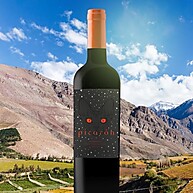 Picarón Carmenere 750ml: Vinho Tinto Chileno Sedutor - imagem 3