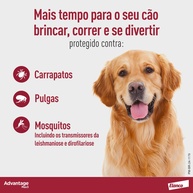 Advantage MAX3: Proteja Seu Cão de Pulgas e Carrapatos - imagem 2