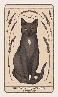 Oráculo Woodland Wardens: 52 Cartas e Guia Ilustrado da Nova York Times Bestselling Illustrator - imagem 5