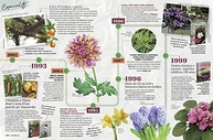 Revista Natureza Edição 410: Guia Completo de Vasos para Casa e Jardim - imagem 5