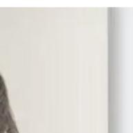 Grampo de Cabelo com Strass para Rabo de Cavalo - imagem 2
