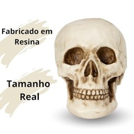 Caveira Crânio Tamanho Real em Resina - Decoração Anatomia Humana Realista para Halloween e Ambientes Temáticos - imagem 5