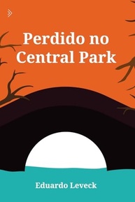 Perdido no Central Park: Romance Dramático sobre Autodescoberta e Amor em Nova York - imagem 2