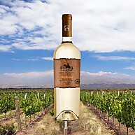 Chardonnay Chileno Sierra Batuco: Frescor e Elegância 750ml - imagem 3