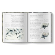 A Ciência de Interestelar: Desvende os Segredos do Filme de Nolan com Kip Thorne - imagem 5
