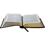 Bíblia Sagrada NTLH Letra Grande: Conforto e Clareza na Palavra de Deus - imagem 3