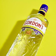 Gin Gordons 750ml: Sabor Clássico e Refrescante - imagem 2