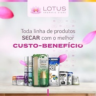 Anti Mofo Secar Original Closet 250g - 5 Unidades | Proteja seu Guarda-Roupa com Segurança - imagem 3