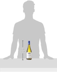 Vinho Branco Chileno Casas Del Bosque Collection Chardonnay 750ml - imagem 2