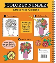Brain Games - Color by Number: Livro de Colorir Anti-Stress (Laranja) - imagem 3