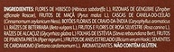 Leão Chá De Gengibre E Especiarias Fuze Com 10 Saquinhos - imagem 3