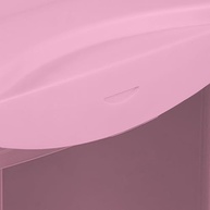 Caixa Organizadora Plástica Alta 13,5L Rosé - Linha Radical com Tampa Click - imagem 5
