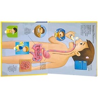 Combo Livros com Abas: Explore o Espaço e o Corpo Humano com Crianças - imagem 3