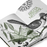 Bruxa Natural: Desperte a Magia da Natureza com Arin Murphy-Hiscock - imagem 5
