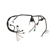 Fiação Completa Magnetron Original para Honda CG 125 Fan ES (2009-2011) - imagem 1