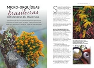 Mestre das Orquídeas Vol. 17: Guia Completo de Micro-Orquídeas Brasileiras - imagem 5