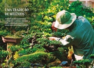 Almanaque Visual Natureza: O Guia Completo da Arte Bonsai - imagem 4
