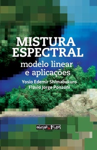 Mistura Espectral: Desvende a Complexidade de Pixels com Técnicas de Sensoriamento Remoto - imagem 1