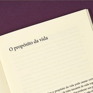 Sentir e Saber: Desvende os Mistérios da Consciência Humana - imagem 5