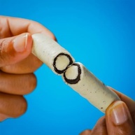 BOLD Tube Chocolate Proteico Cookies & Cream 10g de Proteína (12 Un.) - imagem 3