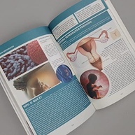 O Grande Livro do Corpo Humano: Descubra os Segredos da Máquina Humana - imagem 5