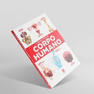 O Grande Livro do Corpo Humano: Descubra os Segredos da Máquina Humana - imagem 3