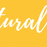 Mel Cru Silvestre 100% Natural: Trata Intestino Preso e Fortalece o Corpo - imagem 2