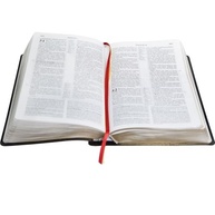 Bíblia de Estudo Pentecostal com Harpa - Couro Preto ARC: Aprofunde Sua Fé - imagem 3