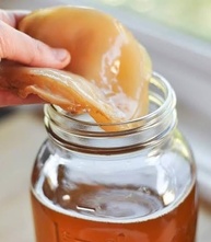 Kit Kombucha e Kefir de Leite Com Assessoria no Cultivo e Criação - imagem 3