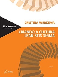 Crie uma Cultura Lean Seis Sigma de Sucesso: Otimize Processos e Aumente Lucratividade - imagem 2