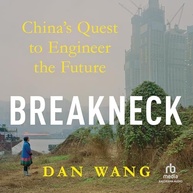 Breakneck: A Busca da China para Engenhar o Futuro - Entenda o Progresso e Seus Custos - imagem 2